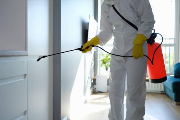 Best Commercial Mold Removal  in Shiprock, NM