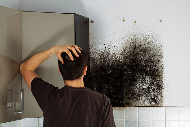 Best Mold Testing  in Shiprock, NM